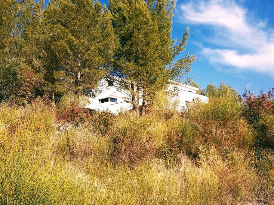 Villa Contemporaine F5 Cote Azur Ollioules Calme Экстерьер фото